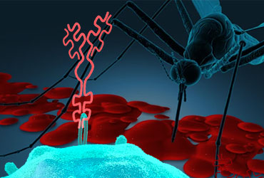 Rituximab Low Dose Rituximab Treatment For New Onset Generalized